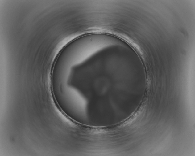 X0000111021239200906261534