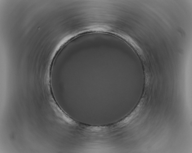 X0000111021240200906261534