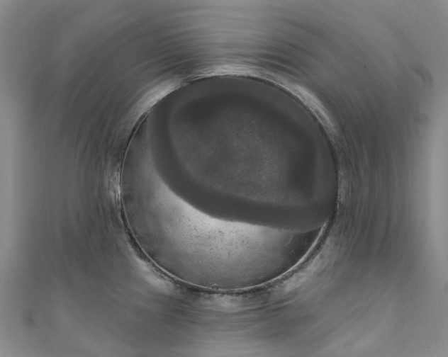 X0000111021241200906261534