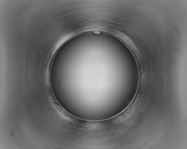 X0000111021242200906261534