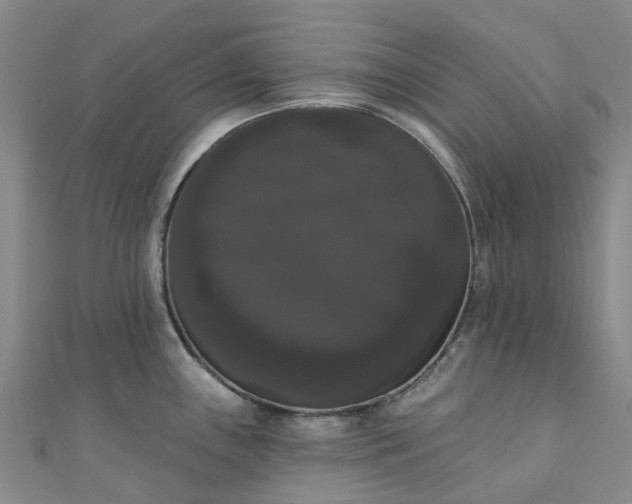 X0000111021243200906261534