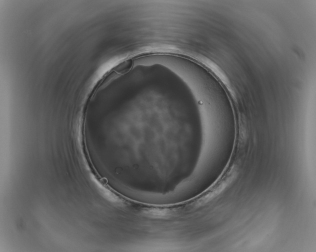 X0000111021245200906261534