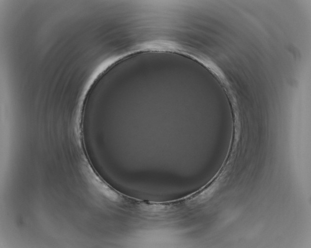 X0000111021248200906261534