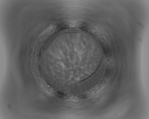 X0000111021249200906261533