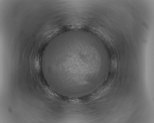 X0000111021250200906261533