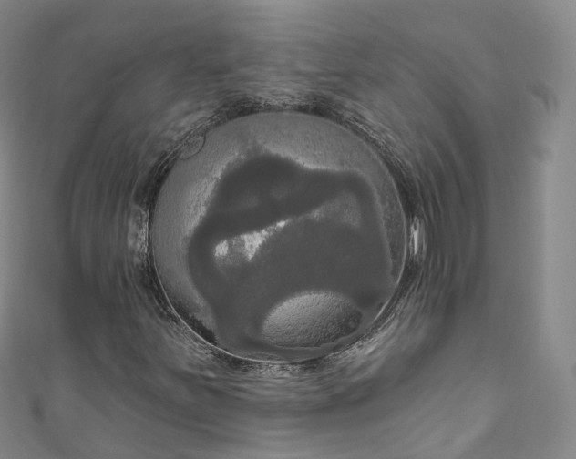 X0000111021251200906261533