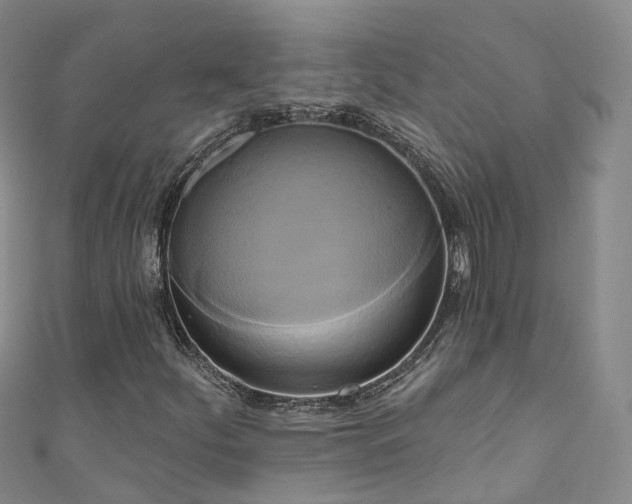 X0000111021252200906261533