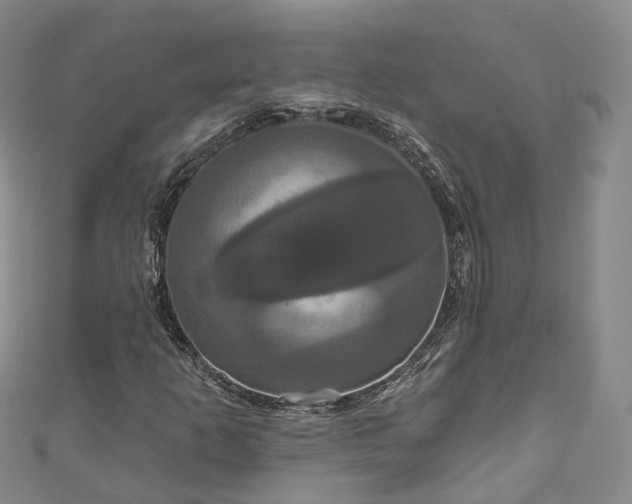X0000111021253200906261533