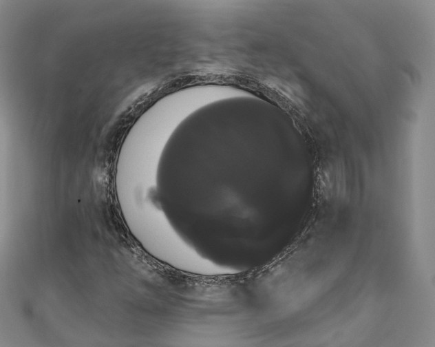 X0000111021254200906261533