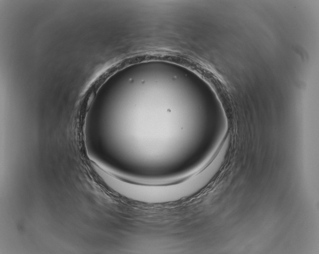 X0000111021256200906261533