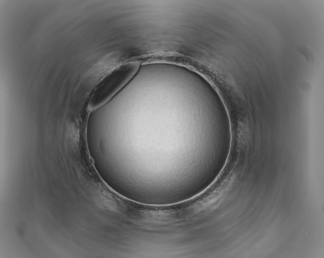 X0000111021257200906261533
