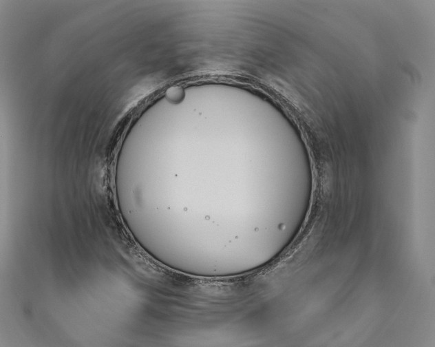 X0000111021258200906261533