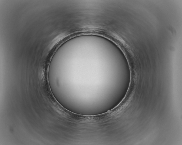 X0000111021259200906261533