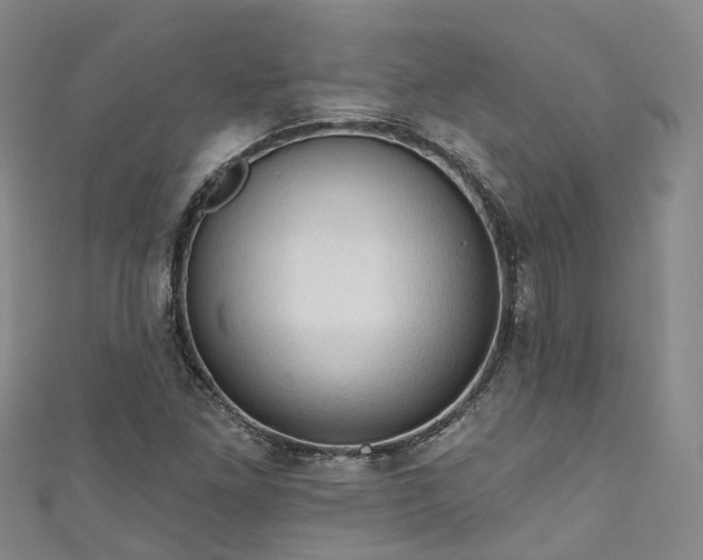 X0000111021261200906261533