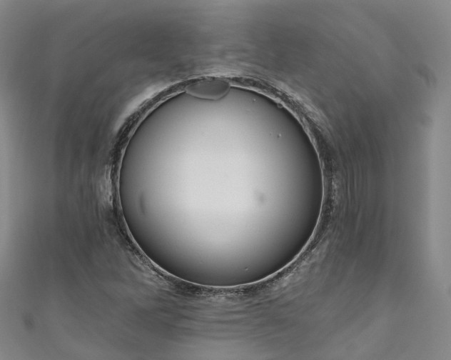 X0000111021262200906261533