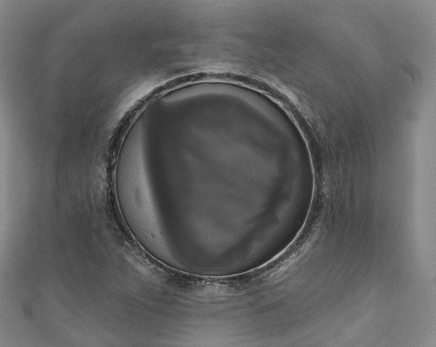 X0000111021263200906261533