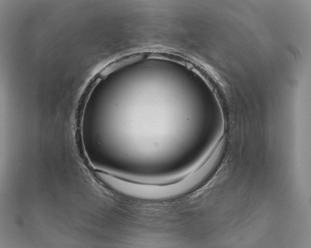 X0000111021264200906261533