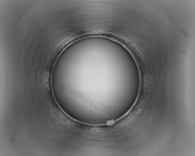 X0000111021265200906261533