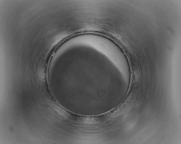 X0000111021266200906261533