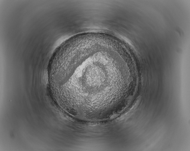 X0000111021267200906261533