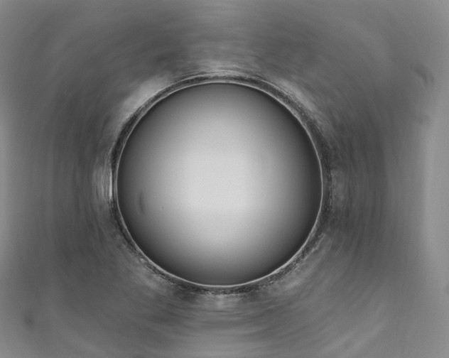 X0000111021269200906261533