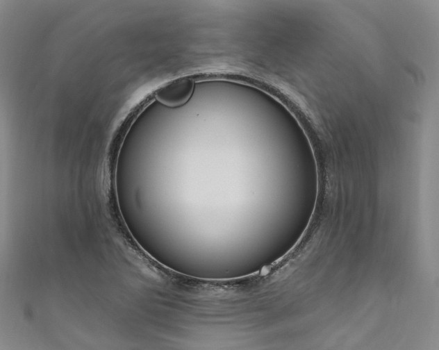 X0000111021270200906261533