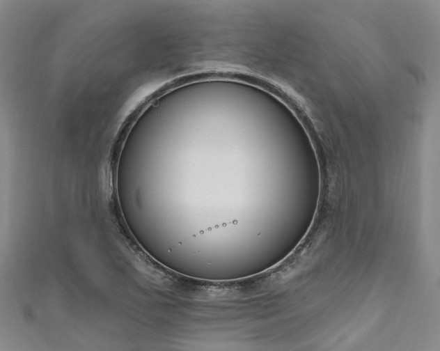 X0000111021271200906261533