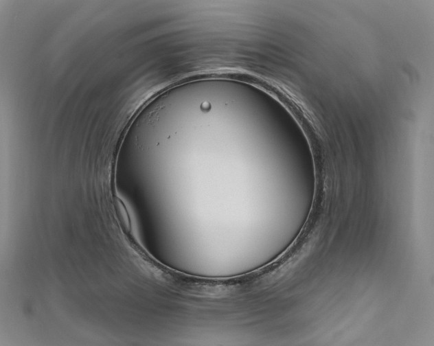 X0000111021273200906261533
