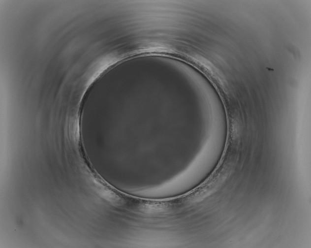 X0000111021274200906261533