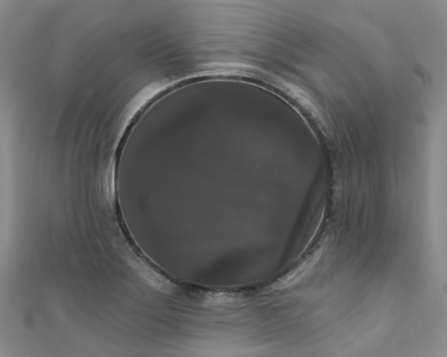 X0000111021275200906261533