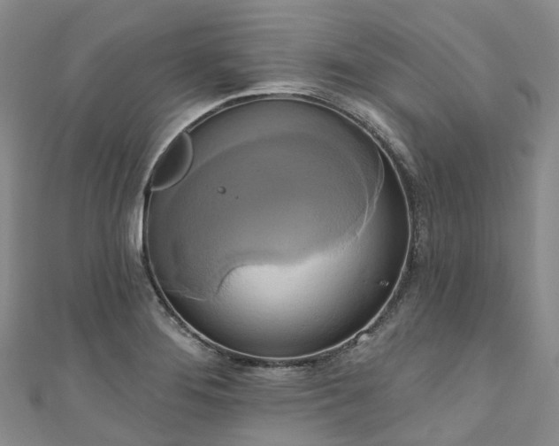 X0000111021276200906261533