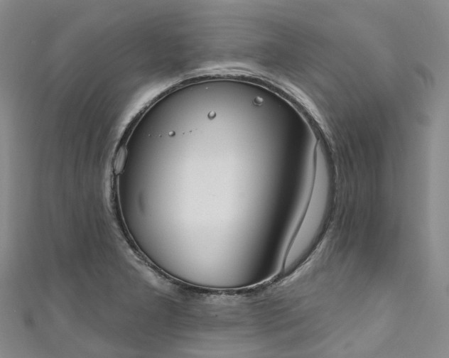 X0000111021277200906261533