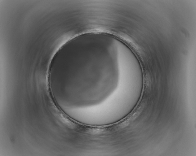 X0000111021278200906261533
