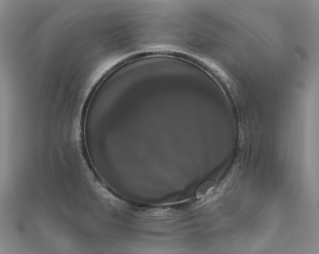 X0000111021279200906261533