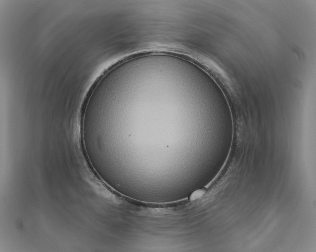 X0000111021280200906261533
