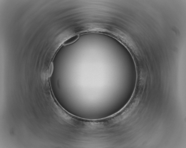 X0000111021281200906261533