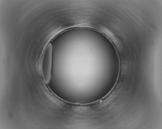 X0000111021284200906261533