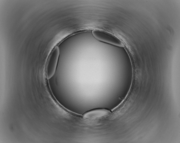 X0000111021285200906261533
