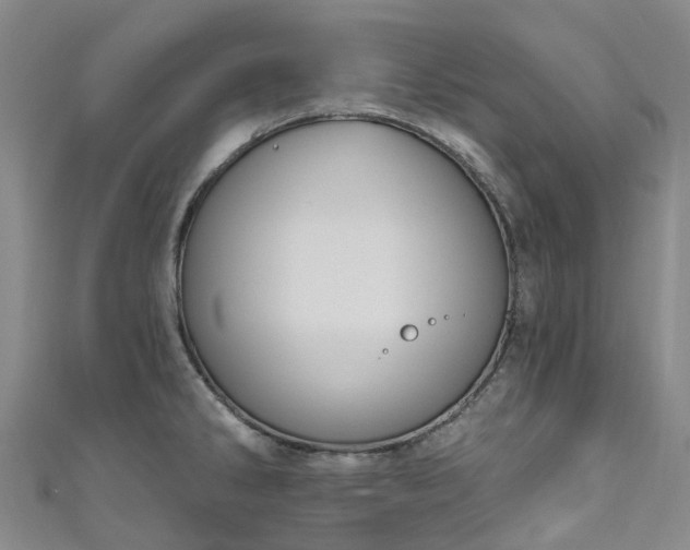 X0000111021286200906261533