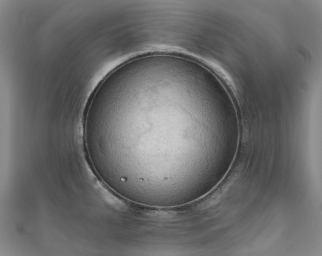 X0000111021287200906261533