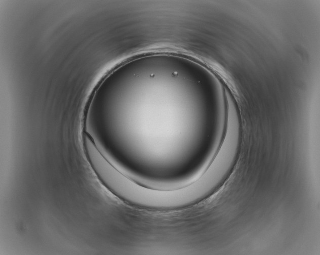 X0000111021288200906261533