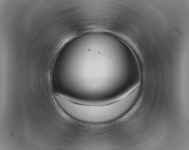 X0000111021289200906261533