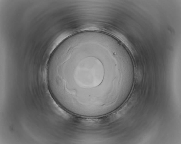 X0000111021290200906261533