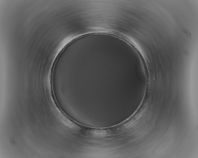 X0000111021291200906261533