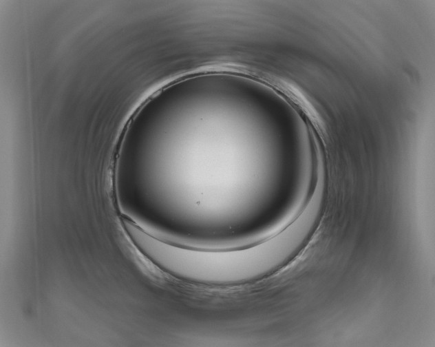X0000111021292200906261533