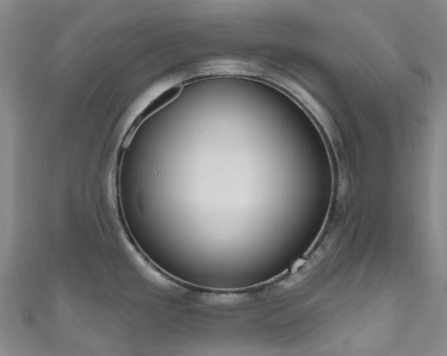 X0000111021293200906261533