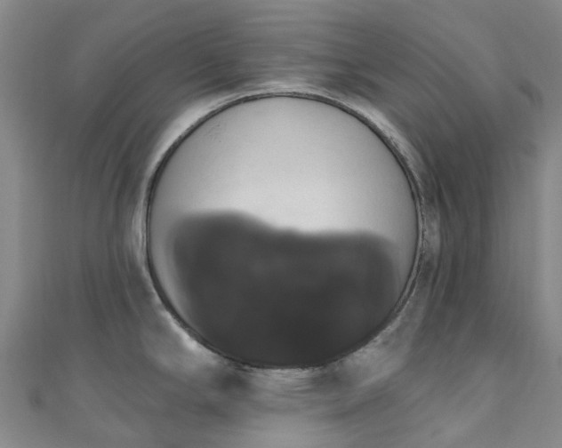 X0000111021294200906261533