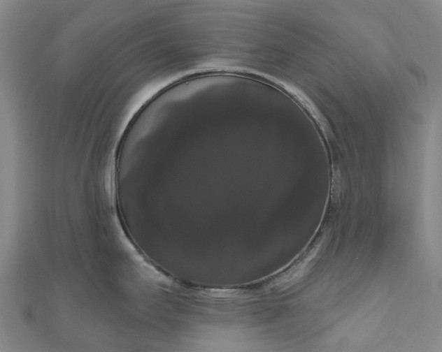 X0000111021295200906261533