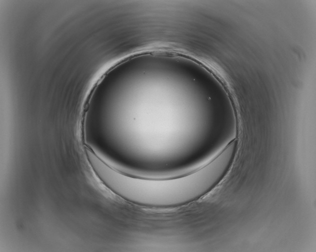 X0000111021296200906261533