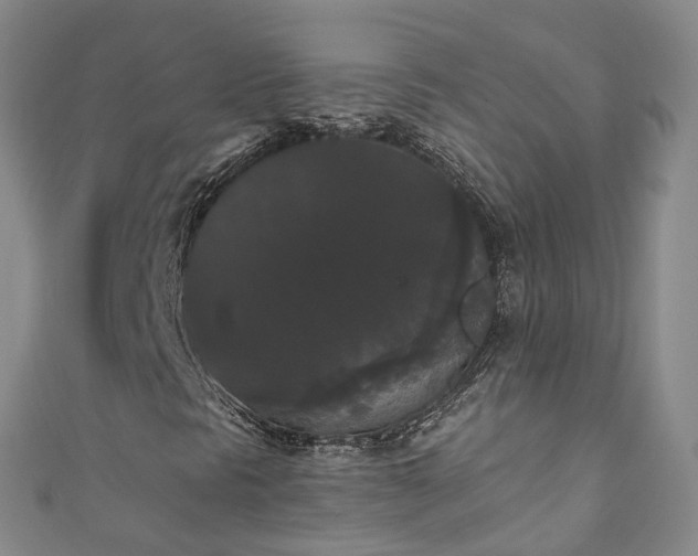 X0000111021297200906261532